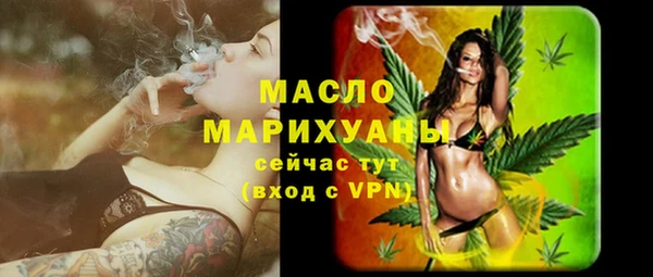 дмт Алексин