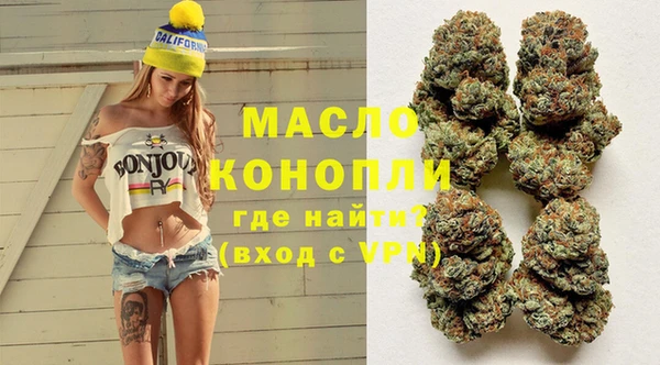 дмт Алексин
