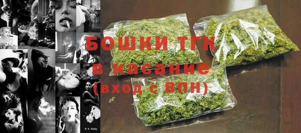 дмт Алексин