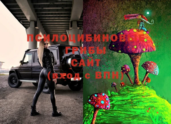 дмт Алексин