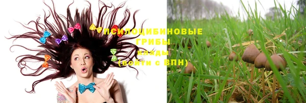 прущие крисы Абинск